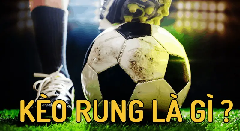 Kèo rung là gì - Tìm hiểu sâu về hình thức cược hấp dẫn trong thể thao